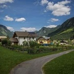 Meet your Posher, Nelson